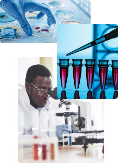 Medical Microbiologist