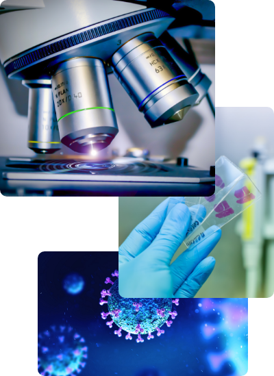 Microscopic examination of human tissues