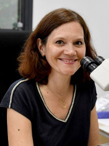 Caroline Tual-Vaurs