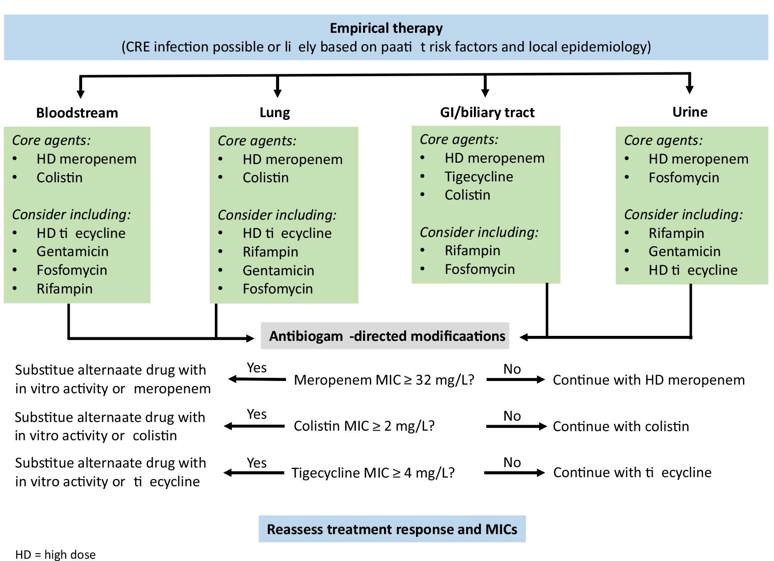 Empirical therapy