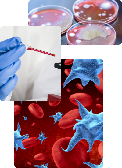 Check the state of your blood for health risks